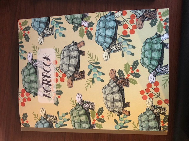 Turtle Notebook